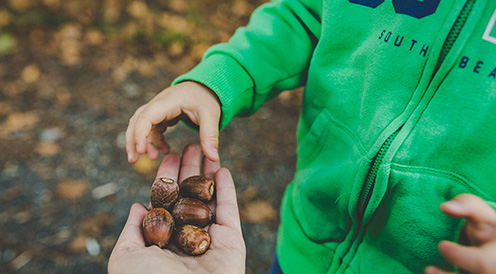 “On va jouer dehors ?” 10 idées pour profiter de la nature avec mon enfant.